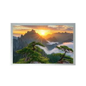 Pannello <span class=keywords><strong>LCD</strong></span> AUO 12.1\" 1280x800 G121EAN01.3 Leggibile alla Luce Solare Display Agricolo Moduli <span class=keywords><strong>LCD</strong></span> da 12.1 Pollici con Luminosità 1500cd - Product Image 3