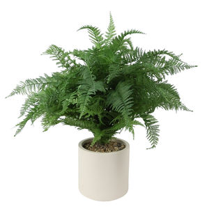 Oh Arts, venta al por mayor, y la boda decoración del hogar, ramo de hojas de helecho artificial, tipo de follaje de plástico - Product Image 3