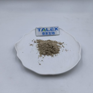 Acide Ellagique en Poudre, Extrait de Grenade, CAS 476-66-4, HPLC 40% 90%, Compléments d'Acide Ellagique - Product Image 4