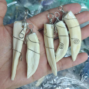 จี้ฟันหมาป่าธรรมชาติ JF6663 ขายส่ง ชุบฟันสัตว์และประดับด้วยกระดูกเทอร์ควอยซ์ สำหรับทำเครื่องประดับสร้อยคอ - Product Image 5