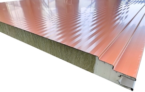 Giá tốt nhất chống cháy cách nhiệt cấu trúc PU bánh sandwich Panel tường cho phòng lạnh và khách sạn các ứng dụng - Product Image 6