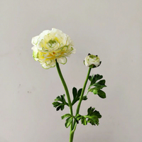 Fleur artificielle de renoncule en soie à 2 têtes de haute qualité W-A0288 – Renoncule de qualité supérieure pour décoration de mariage, fête et maison