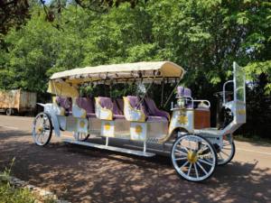 Chariot de Mariage Royal Luxueux à Chevaux Électrique à 4 Rangs pour Visites Touristiques, Chariot de Mariage Blanc à Chevaux à Vendre - Product Image 4