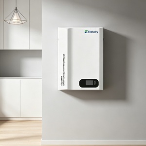 Batterie murale domestique de 15 kWh, durée de vie de 8000 cycles - Product Image 4