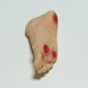 Modelo avanzado de la lesión del pie para diabéticos - Product Image 6