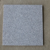 Azulejos de Revestimiento de Pared de Granito Gris Chino G603, Losas y Azulejos de Granito Gris Claro G603 Cortados a Medida