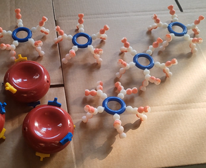 Modelo de demostración de tipo de <span class=keywords><strong>sangre</strong></span> ABO (10 piezas) Simulador de grupo sanguíneo de ciencia médica Equipo de asistencia educativa Enseñanza - Product Image 2