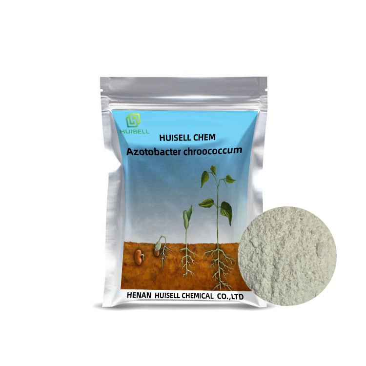 Азотобактерия chroococcum 10 млрд Уфу/г для фруктов, цветов, посадки, низкая стоимость, увеличение урожайности урожая.