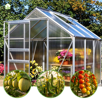 Serre de jardin/gazebo de luxe à portée unique en acier galvanisé à chaud, sur mesure, pour usage commercial et agricole extérieur