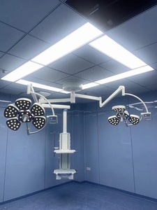 Lts29 द्वारा अनुमोदित दीवार सर्जरी लैंप मेडिकल लैंप मेडिकल लैंप ऑपरेशन रूम लाइट - Product Image 3