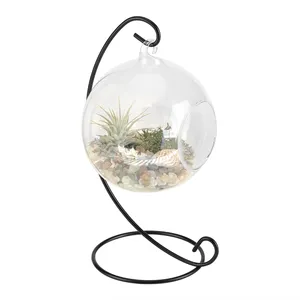 Hete Verkoop Hangende Glazen Vaas Groot Terrarium Met Frame Voor Luchtplanten Succulente Plantenbakken