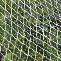 Filet anti-oiseaux en HDPE blanc pour arbres fruitiers, jardins et protection des cultures agricoles, tailles personnalisées disponibles