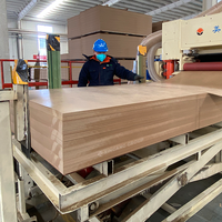 Design moderne MDF Gravure laser Panneau MDF ultra-mince 1mm 2mm 3mm MDF
