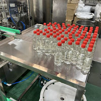 Machine automatique de remplissage et de bouchage de bouteilles pour sauces, pâtes, miel, mayonnaise, liquides visqueux, ligne d'embouteillage