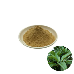Extracto de Hoja de Banaba, Ácido Corosólico en Polvo, Grado Superior, Certificado ISO, 25%, Suplemento Alimenticio - Product Image 1
