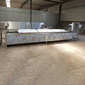 Gıda İşleme Haşlama Hattı |   Otomatik Sebze ve Meyve Renk Sabitleme ve Ön Pişirme Ekipmanı - Product Image 4