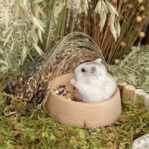 SINCERE, tazón de plataforma de madera automático moderno, incluye comida de juego para mascotas pequeñas, hámsteres sirios enanos, Degus, otras criaturas - Product Image 3