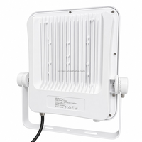 Lampe LED extérieure IP65 100W 15000lm avec cadre en aluminium blanc pour enseigne