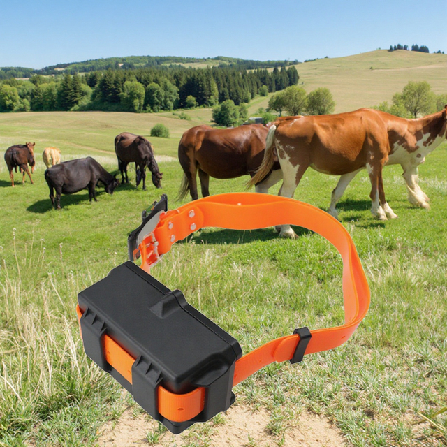 4G GPS Cow and Horse Tracker with 30000mAh Battery Long Standby Outdoor Big Animal Collar GPS Tracking Device Waterproof
