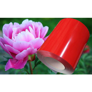 Bobine d'acier prélaqué RAL7024 PPGI, galvanisée, couleur, 0,21 mm - Product Image 1