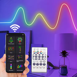 Kit de guirlande lumineuse néon RGBIC USB 5V étanche IP65 de 5 m avec application et télécommande, <span class=keywords><strong>bande</strong></span> <span class=keywords><strong>LED</strong></span> flexible pour usage intérieur - Product Image 1