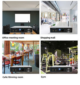 <span class=keywords><strong>Amplificador</strong></span> de Audio Estéreo Profesional de Aluminio de 2.1 <span class=keywords><strong>Canales</strong></span> para Karaoke con Mezclador DSP y Entrada USB para Fiestas en Casa - Product Image 6