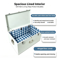 Boîte de rangement métallique personnalisée verrouillable, coffre organisateur décoratif, armoire à outils domestique, vente en gros
