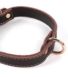 <span class=keywords><strong>Collar</strong></span> de cuero de vaca para mascotas con hebilla de metal, anillo en D, cinturón de Cuello de piel de ganado marrón ajustable para gato, suministro circular boutique - Product Image 3