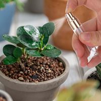 Flacons de parfum en verre de 5 ml avec mini vaporisateurs dorés, mini flacons d'échantillons, vaporisateurs de voyage rechargeables pour ensembles de diffuseurs de roseaux