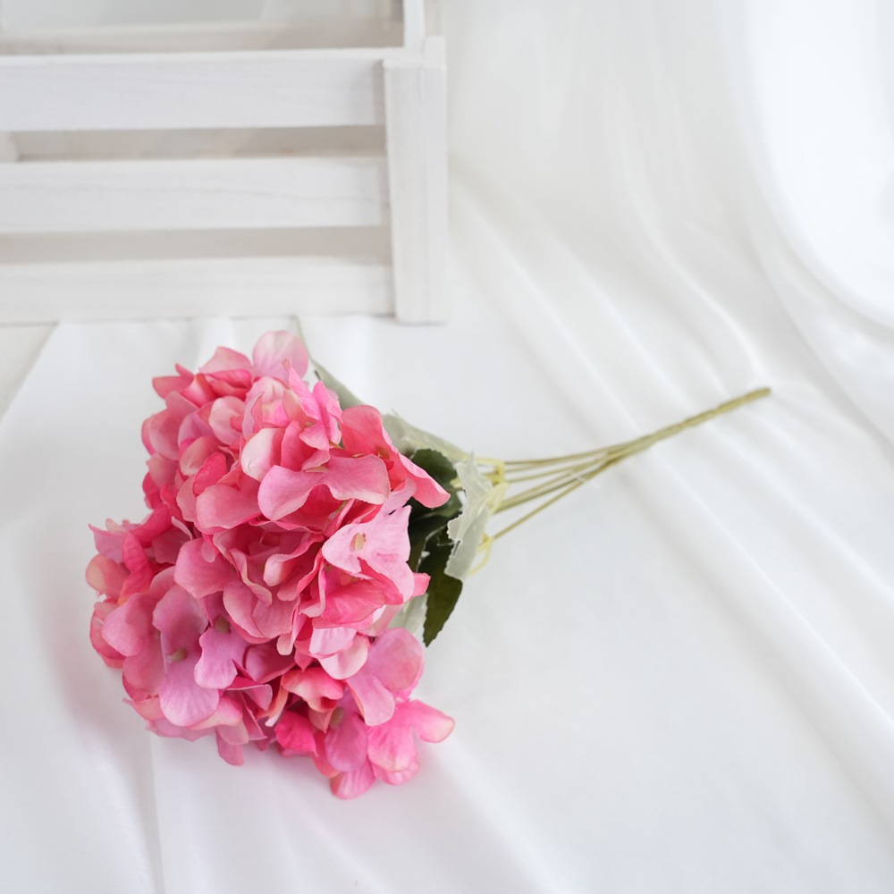 Rose rouge