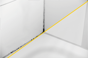 ACTIVE1 Spray anti-moisissure et anti-mildiou désinfecte les surfaces de salle de bain pour la porcelaine, la pierre, le coulis Action rapide - Product Image 5