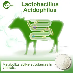 Probióticos Lactobacillus Acidophilus para uso en acuicultura
