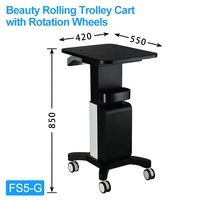 Chariot de Salon de Beauté Portable Amélioré à 4 Niveaux avec Éclairage d'Appoint pour Services Professionnels Multi-Scénarios