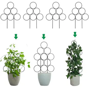 Garden Supplies Planter Flower Iron Support Trellis for Climbing Plant Grow Cage with Rings