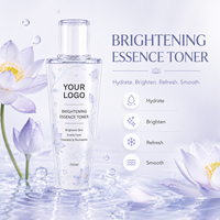 Sérum Visage à l'Acide Salicylique 250ml, Marque Privée, Étiquette Personnalisée, OEM, ODM, Essence Tonique, Soin de la Peau, Sérum Hydratant, Anti-Âge