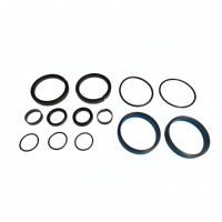 Kit de joints pour vérin hydraulique JLG 2902061 |   Kit de joints de rechange pour cylindres JLG