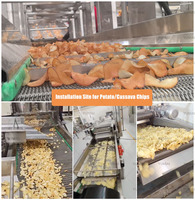 Línea de producción de papas fritas congeladas semifritas totalmente automática de 500 kg/h a gas industrial personalizada