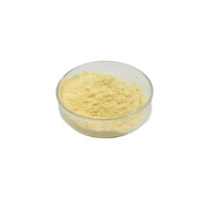 Pineapple Flavor <strong>Powder</strong> Pineapple Fruit Pure Pineapple Juice <strong>Powder</strong> - Product Image 3