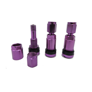 Vanne à pneu sans chambre à air, livraison gratuite, couleur aluminium chromé <span class=keywords><strong>TPMS</strong></span> tr525 - Product Image 4