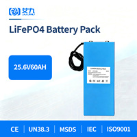 Paket Baterai Lithium Kustom 25.6V 48V 60Ah untuk Penyimpanan Energi