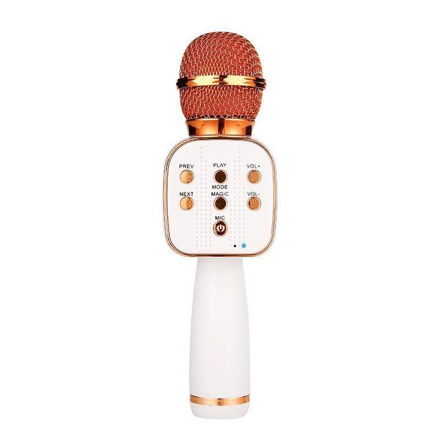 Professional Portable Wireless Noise Cancelling Condenser Phone Handheld USB for Karaoke TikTok Podcast Music Recording