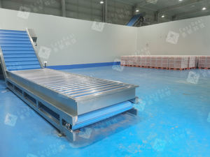 Gıda işleme, meyve yıkama ve sıralama hattı için paslanmaz çelik meyve kemeri asansör konveyörü - Product Image 4