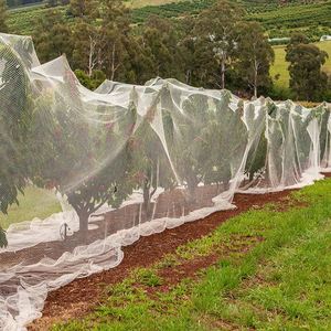 100% <span class=keywords><strong>HDPE</strong></span> UV cây ăn quả Fly <span class=keywords><strong>Net</strong></span> chống côn trùng lưới côn trùng lưới nông nghiệp 5 năm - Product Image 4