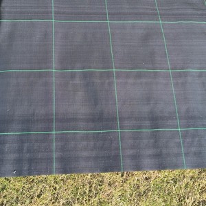 Malla Agrícola de Plástico Tejido <span class=keywords><strong>para</strong></span> Control de Malezas con Orificios <span class=keywords><strong>para</strong></span> Cultivos, Permeable al Agua y Transpirable, Anti-UV - Product Image 3