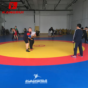 Tapete de Lucha de PVC de 12M*12M, Tapete de Jiu Jitsu BJJ, Tapete de Lucha Libre con Cubierta y Espuma Protectora - Product Image 2