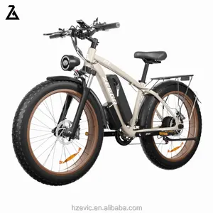 Fabrika 500W 1000W E bisiklet İtalyan elektrikli bisiklet ile çıkarılabilir pil Shimano 7 yağ lastik elektrikli bisiklet