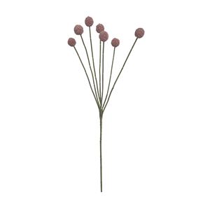 Doğal kuru çiçekler korunmuş Billy düğme kurutulmuş Craspedia çiçek Yunnan kurutulmuş çiçek Centerpieces Boho ev dekor için - Product Image 6