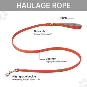 <span class=keywords><strong>Collar</strong></span> y correa de perro trenzado de alta calidad respetuoso con el medio ambiente personalizado de cuero tejido más popular - Product Image 4