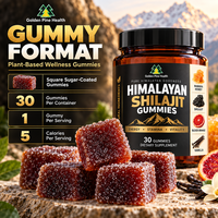 Gummies de Shilajit 30 unités pour adultes, les plus vendues – Complément énergétique naturel OEM pour le bien-être quotidien