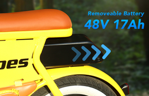 Hidoes จักรยานไฟฟ้า HD-C8ไฟฟ้า700W 17AH ดีที่สุด emtb 20นิ้ว - Product Image 5